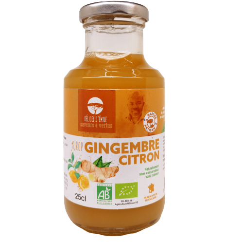 https://lesdelicesdemile.fr/wp-content/uploads/2021/08/Sirop-gingembre-citron-bio-25cl-3.png