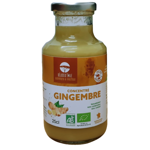 Sirop concentré de gingembre - Thé Bon Thé Bio, épicerie fine